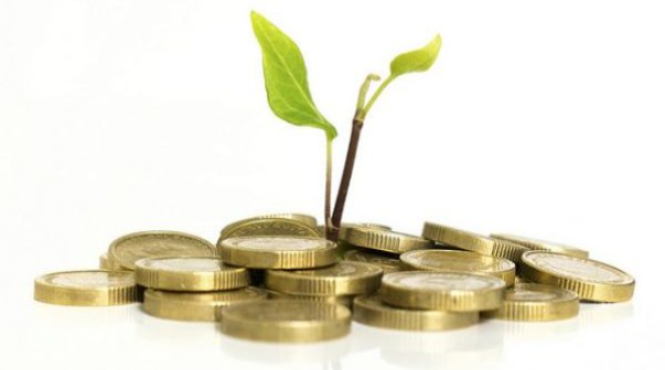 small plant growing out of a mound of coins