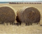 Two round hay bales