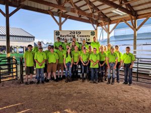 2019 4-H Market Sale youth at the Bayfield County Fair