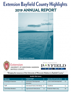 2019 Highlights Annual Report Cover