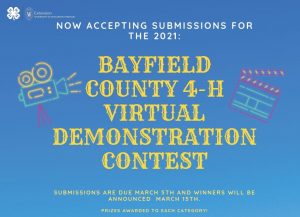 Virtual Demonstration Contest