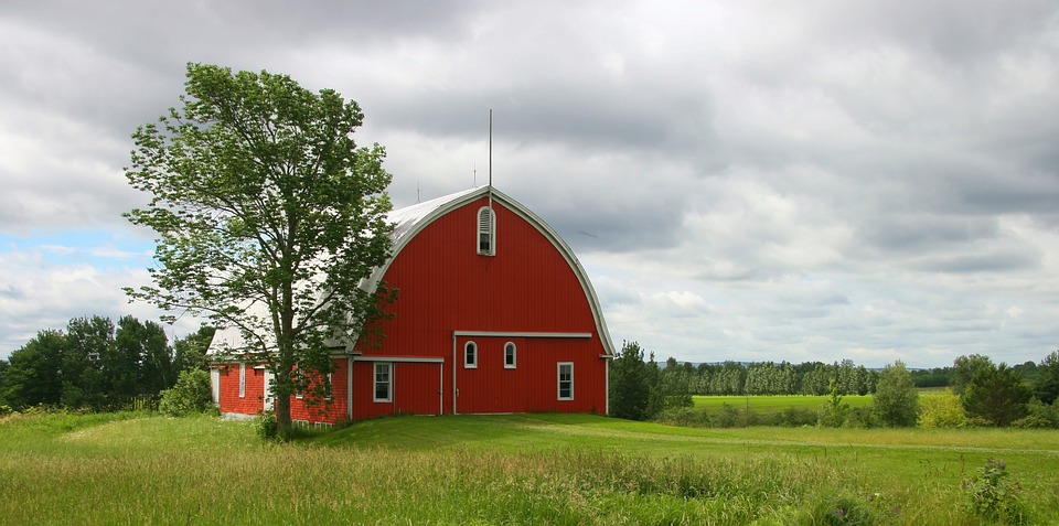 Red barn, green tree, green field