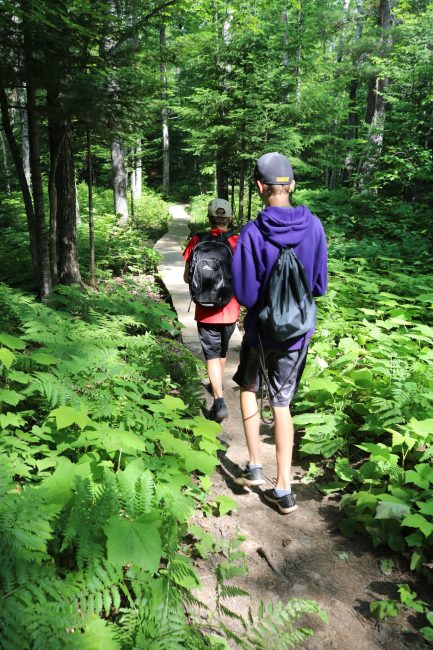 kids hiking on a wooded path