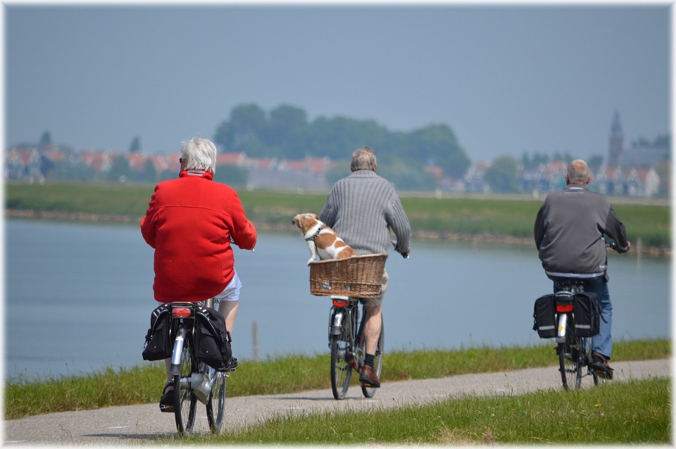 elderly trio bike riding-beagle in basket on back of a bike