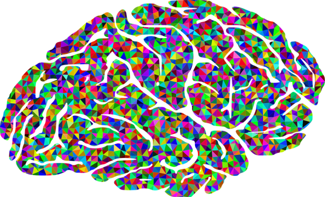 brain colorful