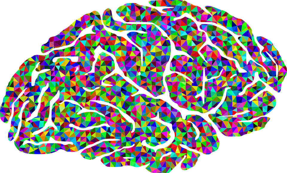brain colorful
