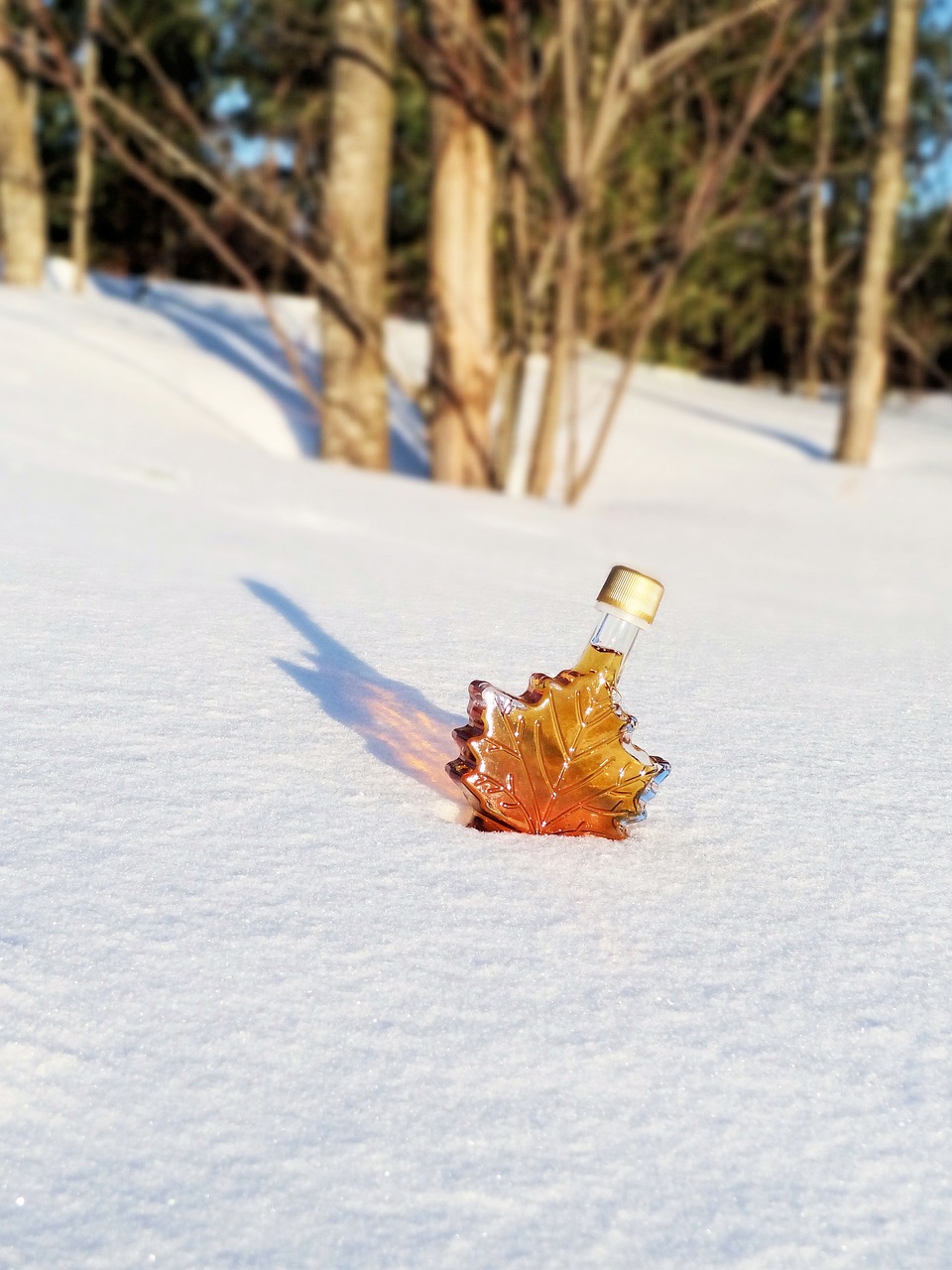 maple syrup bottle in the snow
