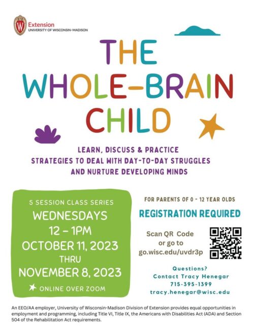 The Whole Brain Child Flyer