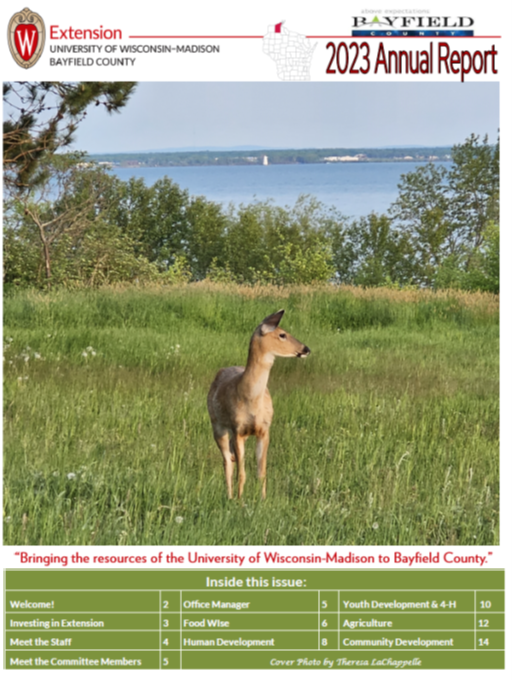 2023 Annual Report, deer in a field with Lake in the background