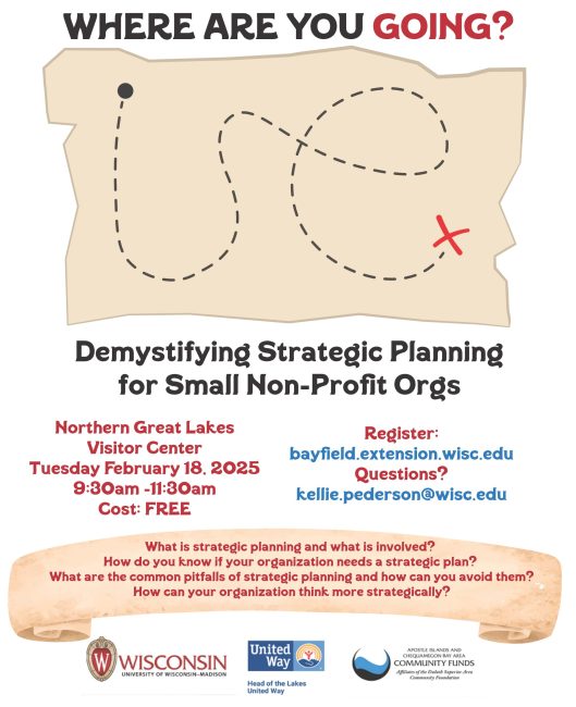 Demystifying Strategic Planning for small non-profit orgs