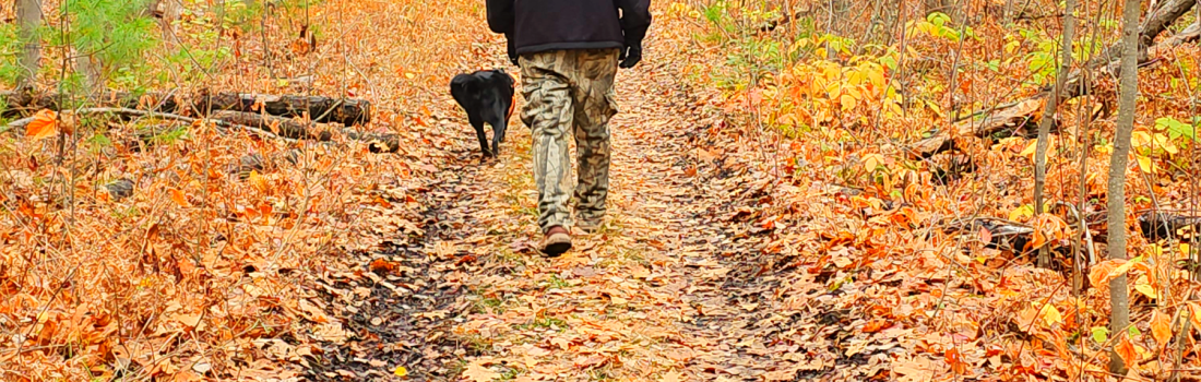Man and dog walking on path in fall woods