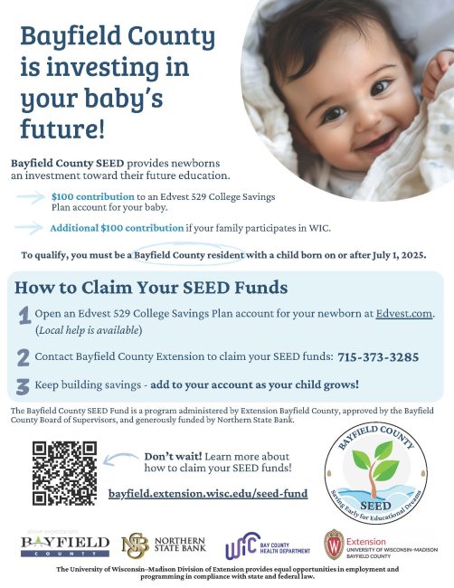 Seed Flyer 