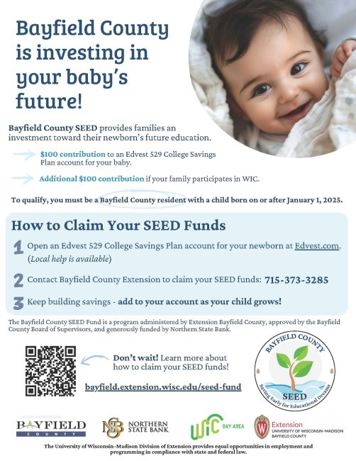 SEED flyer