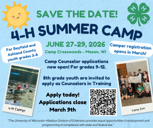 4-H Summer Camp Counselor Applications