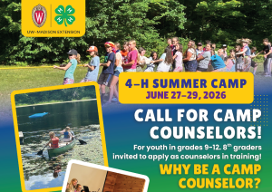 4-H Summer Camp Counselor Applications