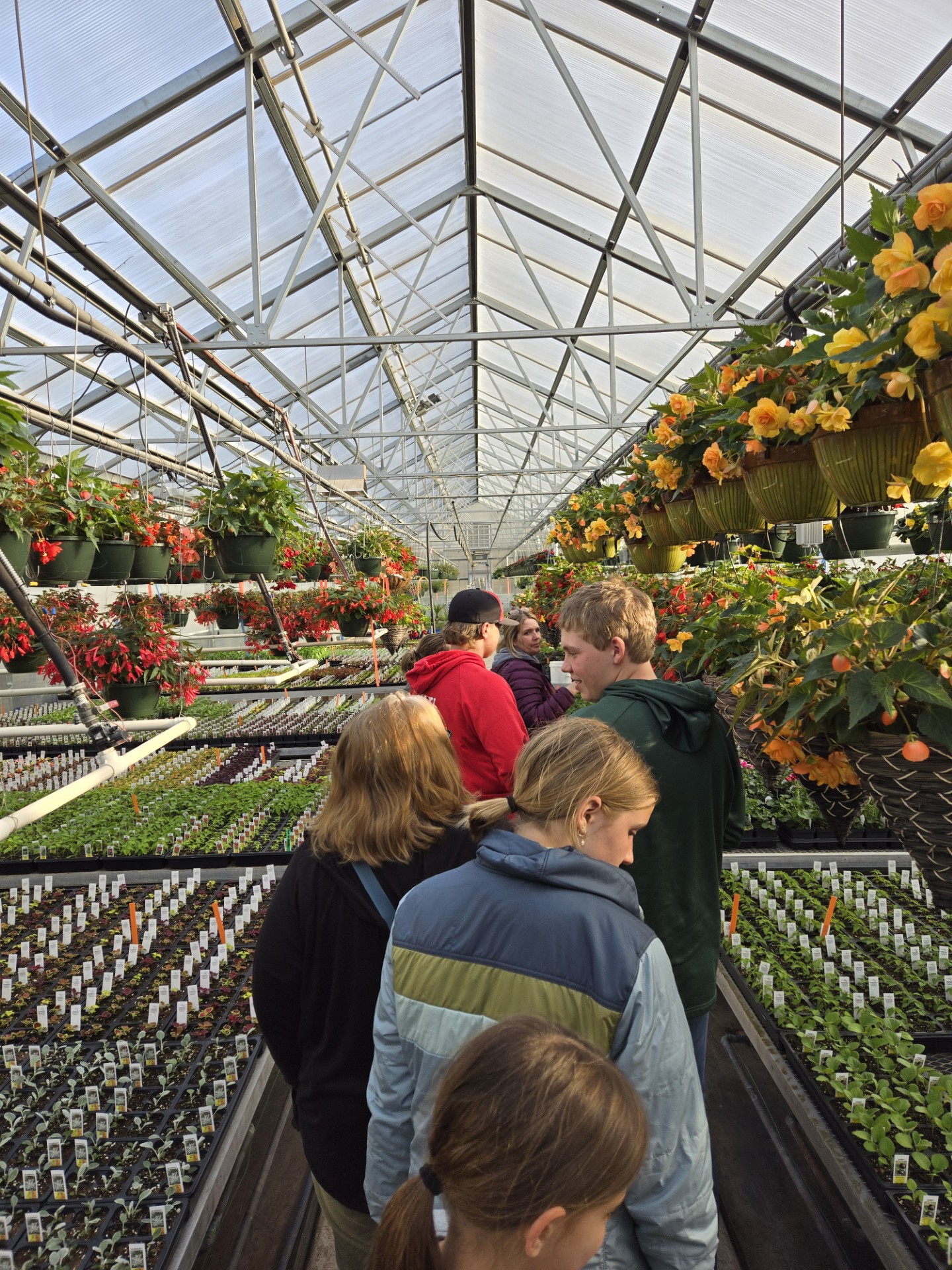 Youth walking in a greenhouse