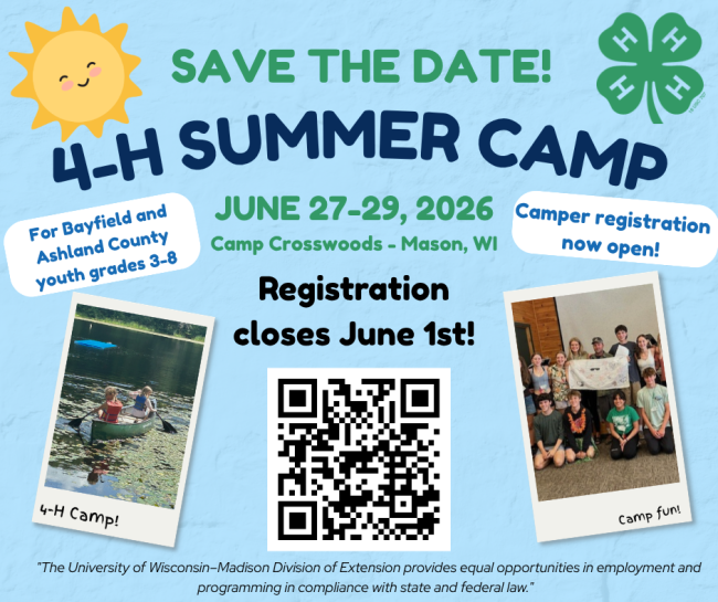 4-H Camp flyer