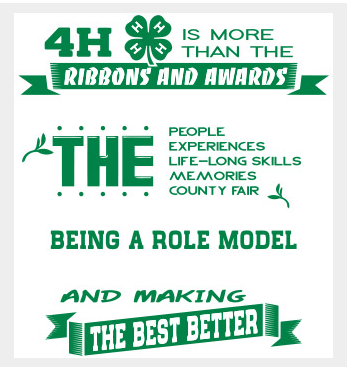 2026 Older Member Awards Including Trips